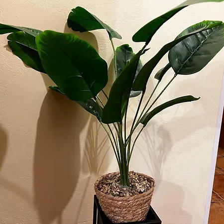 Apartamento Cozy In The Centre Of Varsóvia