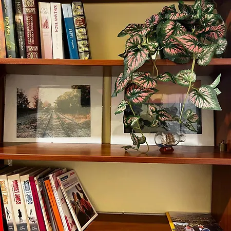 Cozy In The Centre Of Varšava