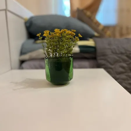 Apartment Cozy In The Centre Of Warsaw